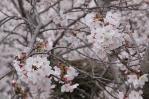 IMG_1902