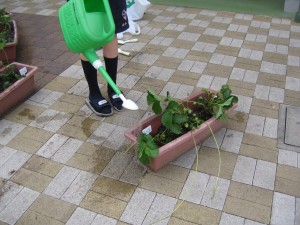 IMG_3457