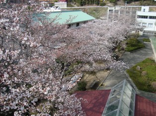 DSC09101
