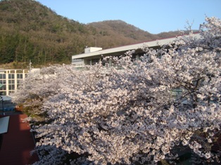 DSC09114