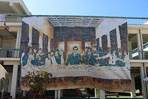 IMG_1881