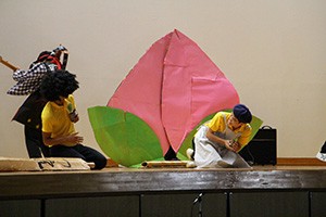 IMG_1931