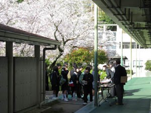 IMG_0234