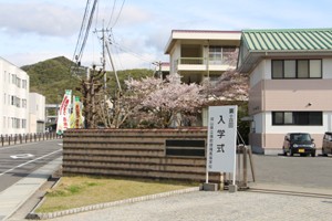 IMG_4316